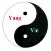 Yin Yang.jpg